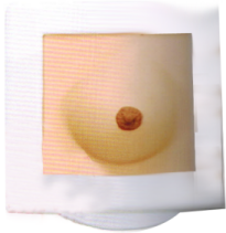 Breast Operation Model product image 1