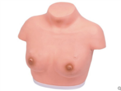 Advanced Breast Palpation Model product image 1