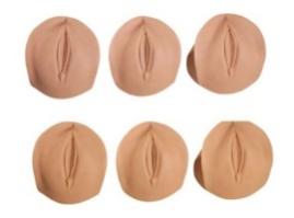 Obstetrics and Gynecology Training Model - Item 18014 product image 1