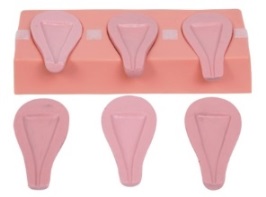 Advanced Simulation Model product image 1