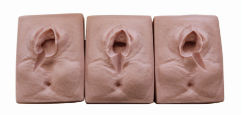 Incision Suturing Model product image 1
