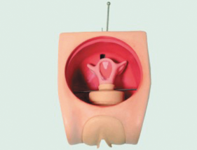 Advanced Family Planning Model product image 1