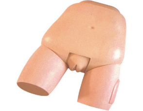 Advanced Model product image 1