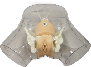 Advanced Model product image 1