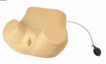 Palpation Training Model product image 1