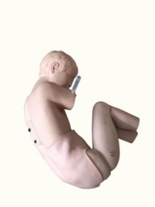 Pediatric Lumbar Puncture Training Model product image 1