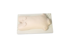 Pediatric Femoral Vein Femoral Artery Puncture Simulation Standardized Patient product image 1