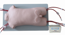 Pediatric Femoral Vein Femoral Artery Puncture Electric Model product image 1