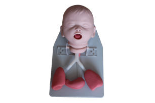 Infant Intubation Model product image 1