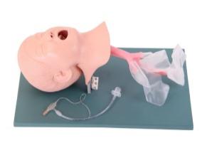 Pediatric Intubation Model product image 1