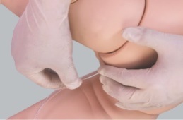 Pediatric Enema Model product image 1