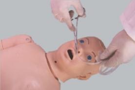 Pediatric Nose Model product image 1