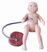 Advanced Newborn Nursing Model product image 1