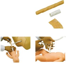 Newborn Ligation Model product image 1