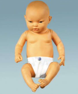 Intelligent Infant Model product image 1