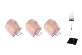 Newborn Venous Infusion Model product image 1