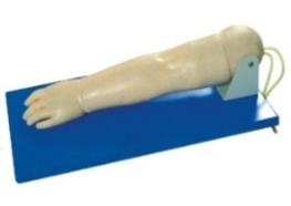 Advanced Pediatric Vein Puncture Model product image 1