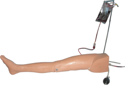 Pediatric Femoral Vein Femoral Artery Puncture Training Model product image 1