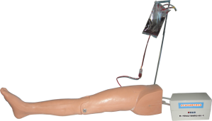 Pediatric Femoral Vein Femoral Artery Puncture Electric Training Model product image 1