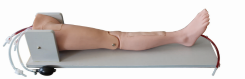Pediatric Femoral Vein Puncture Operation Model product image 1