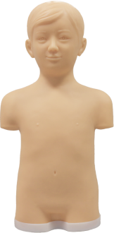 Pediatric Pericardial Puncture Intracardiac Injection Model product image 1