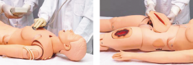 Advanced Adult Nursing Model product image 1