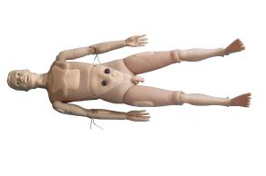Nursing Model product image 1
