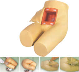 Advanced Enema Model product image 1