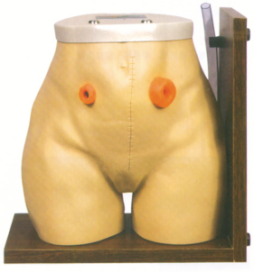 Advanced Nursing Model product image 1