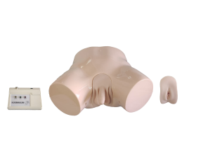 Electronic Catheterization Enema Model product image 1