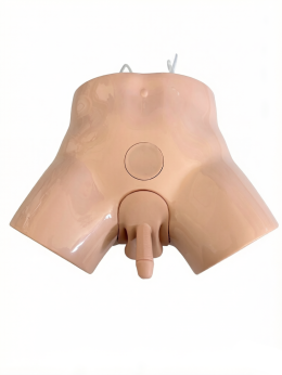 Advanced Male Bladder Puncture Model product image 1