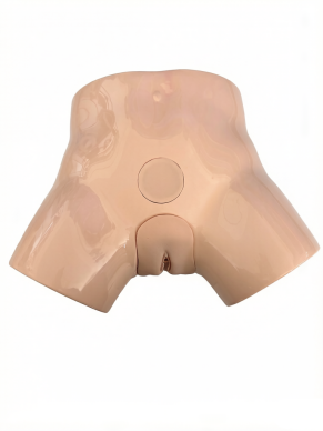 Advanced Female Bladder Puncture Model product image 1