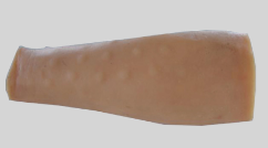 Intradermal Injection Model product image 1