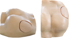 Hip Injection Model product image 1