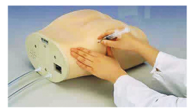 Hip Intramuscular Injection Model - System product image 1