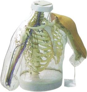 Advanced Intramuscular Injection Module product image 1
