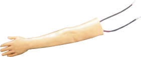 Advanced Vein Puncture Arm Training Model product image 1
