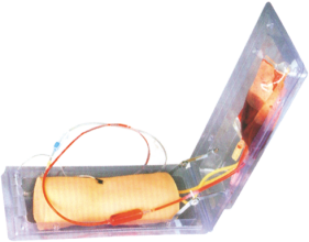 Advanced Elbow Vein Puncture Training Model product image 1