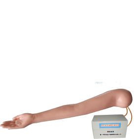 Advanced Arm Vein Puncture Intramuscular Injection Training Model product image 1