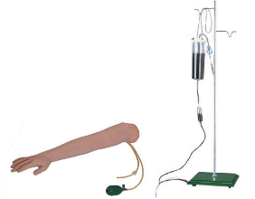 Advanced Arm Vein Puncture Intramuscular Injection Training Model product image 1