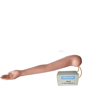 Artery Puncture Arm Model product image 1