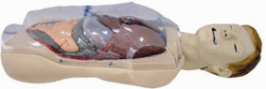 Training Model product image 1