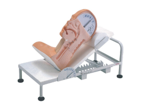 Advanced Model product image 1