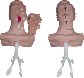 Suction Nursing Model product image 1