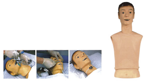 Advanced Nasogastric Tube Nursing Model product image 1