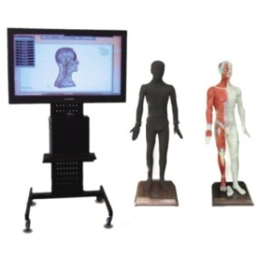 19"/42"/55"/65" Multimedia Acupuncture Acupoint product image 1