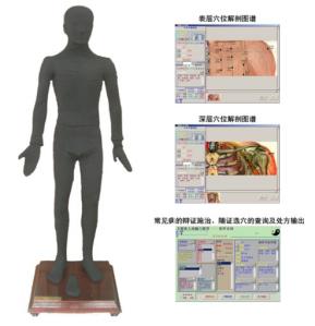 Multimedia Massage Electronic Model product image 1