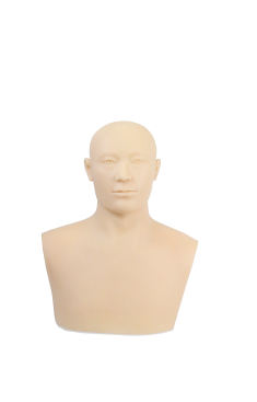 Head Acupuncture Training Model with Hidden Acupoint Markers product image 1
