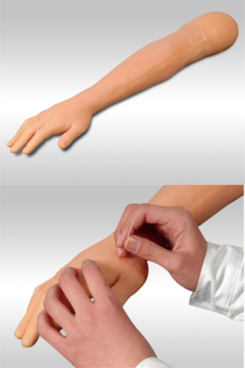 Arm Acupuncture Training Model with Hidden Acupoint Markers product image 1