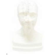 Acupuncture Model product image 1